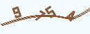 verify_code2